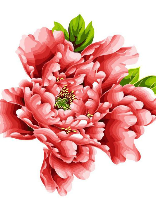 Colorful Peony Bouquets