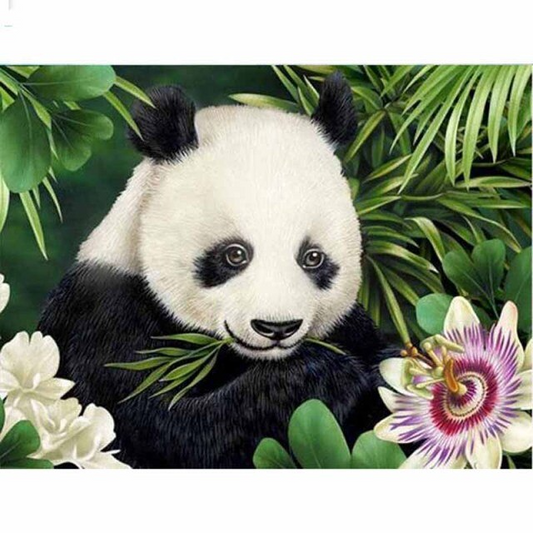 Cute Panda - All Paint By Numbers