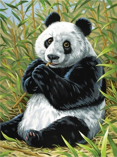 DIY Paint by Numbers Kit Wooden Framed 16x20 Inch Oil Painting Canvas for  Adults and Beginner Kids - Mother Panda Bear with Baby Panda Animals in The  Jungle : : Arts 