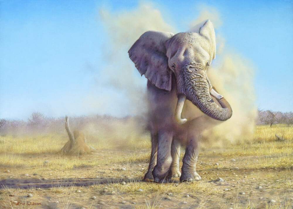 Elephant Dusting - Art by Eric Wilson