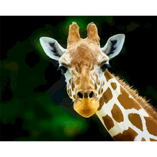 Eyes On Side Giraffe - PBN