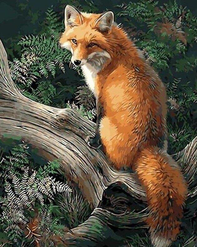 Fox in the Forest Painting Kit - All Paint by Numbers