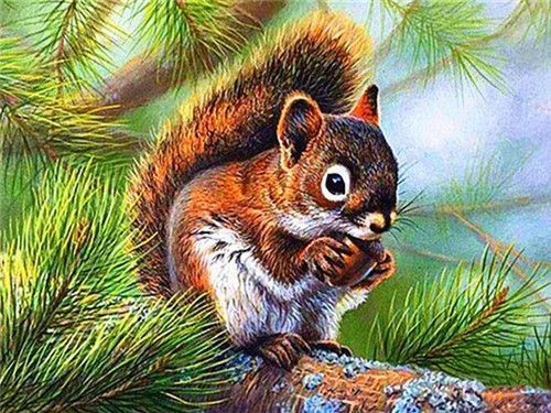 Gorgeous Squirrel - Paint By Numbers