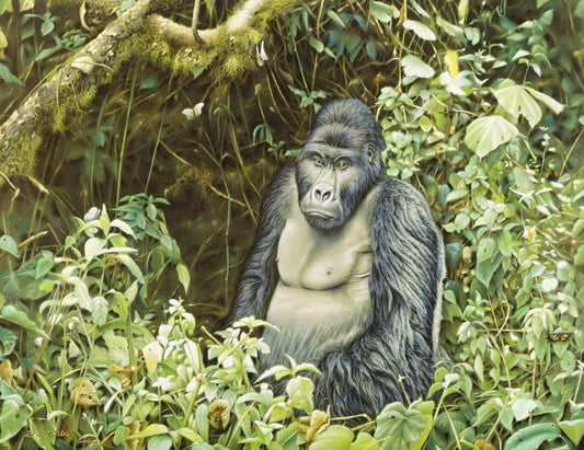 Gorilla Khazui Biega - Art by Eric Wilson