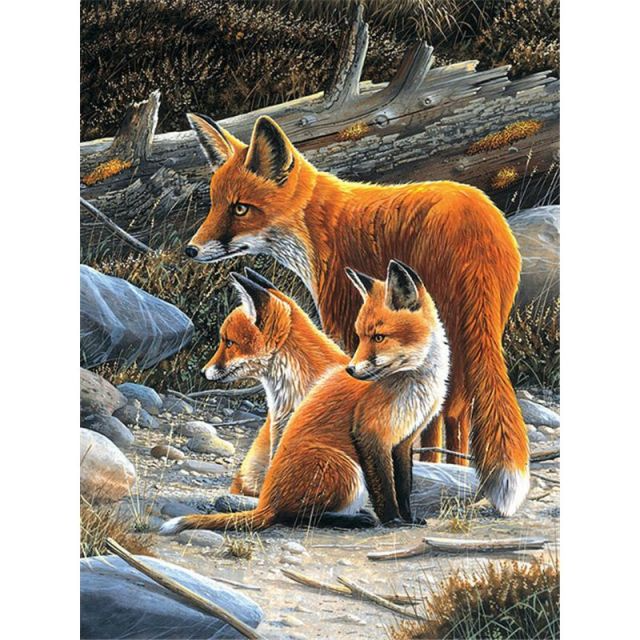 Group Of Fox's - Paint By Numbers
