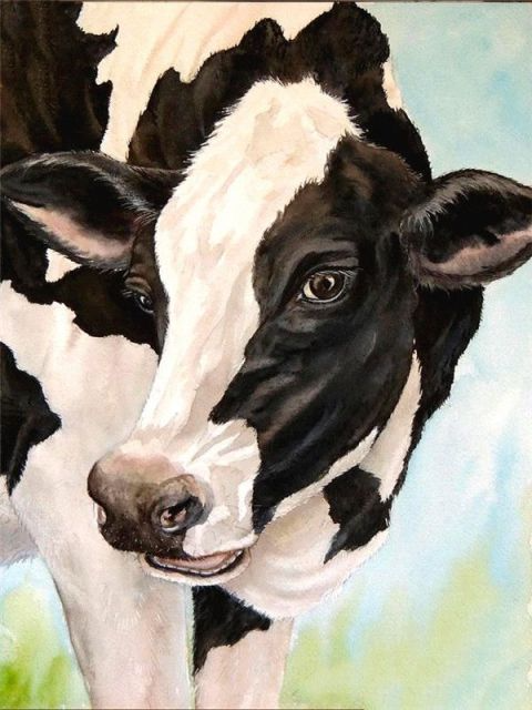 Holstein Cow - Paint By Numbers