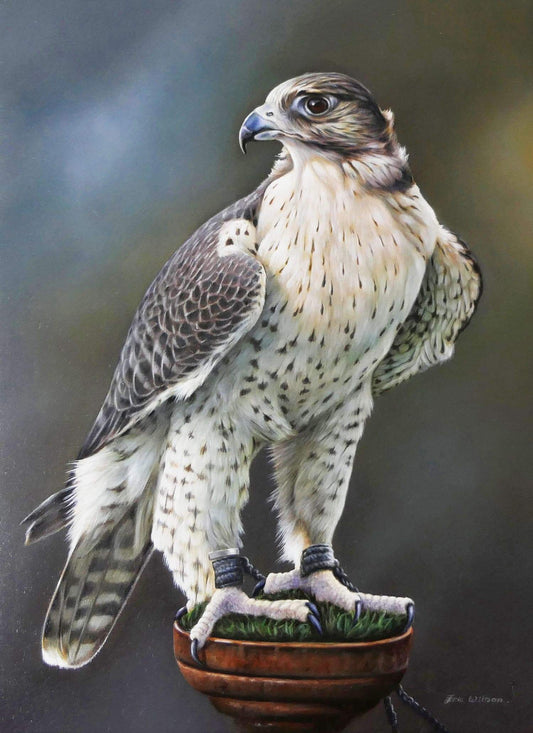 Lanner Falcon - Art by Eric Wilson
