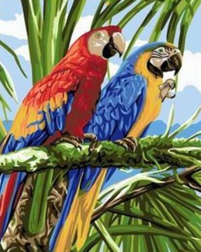 Macaw Parrots - Paint by Numbers for Adults