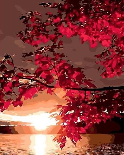Maple Leaves & Sunset