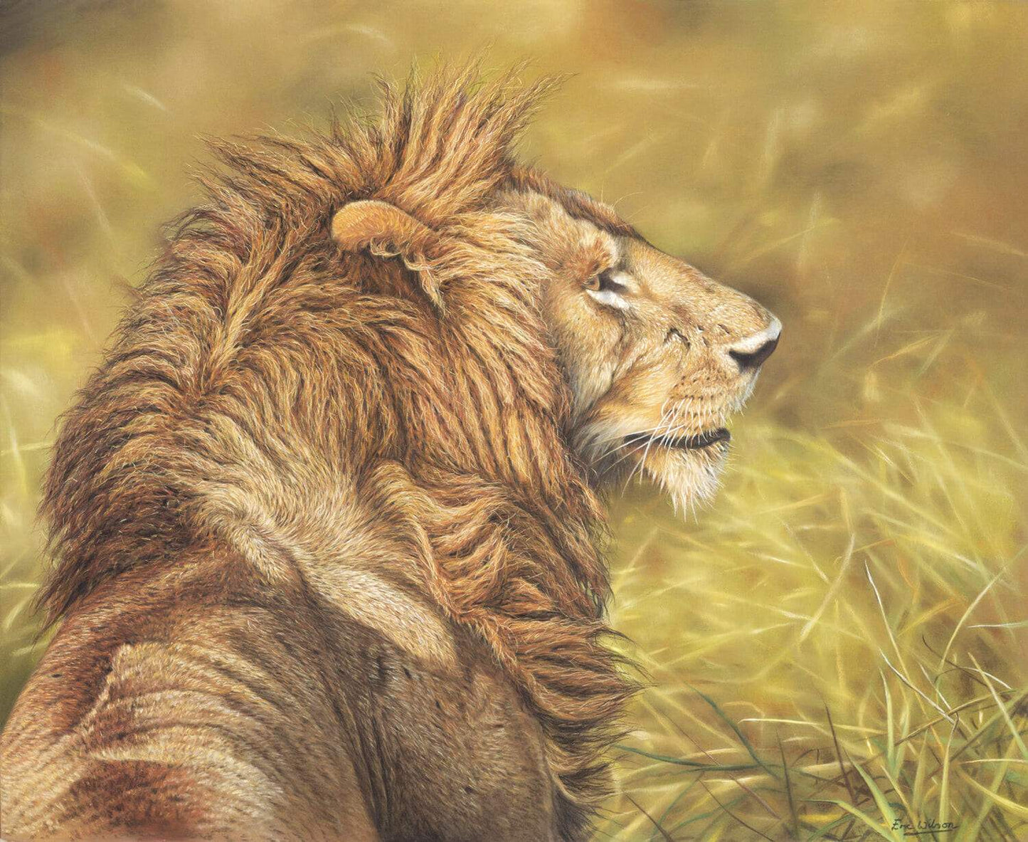Mara Lion - Art by Eric Wilson