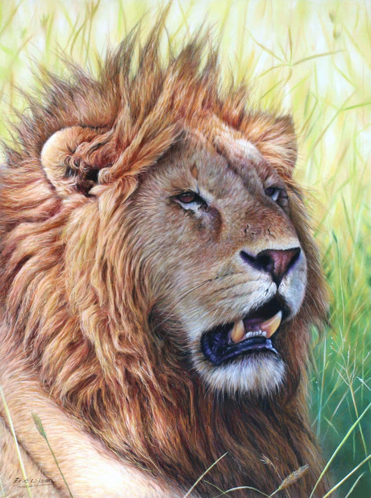 Masai Mara Lion - Art by Eric Wilson