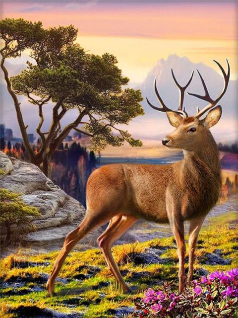 Millwood Pines Paint By Number Deer & Lake On Paper Print & Reviews