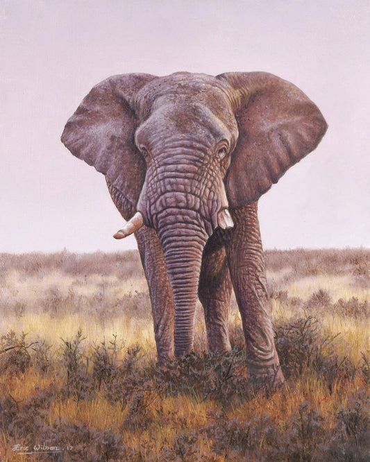 Namibian Elephant - Art by Eric Wilson