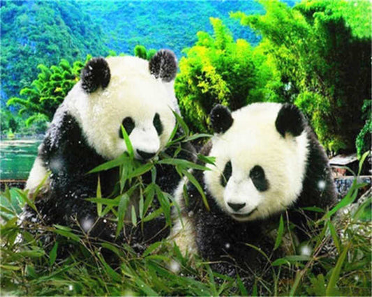 Panda Cubs In Forest- DIY Paint By Number