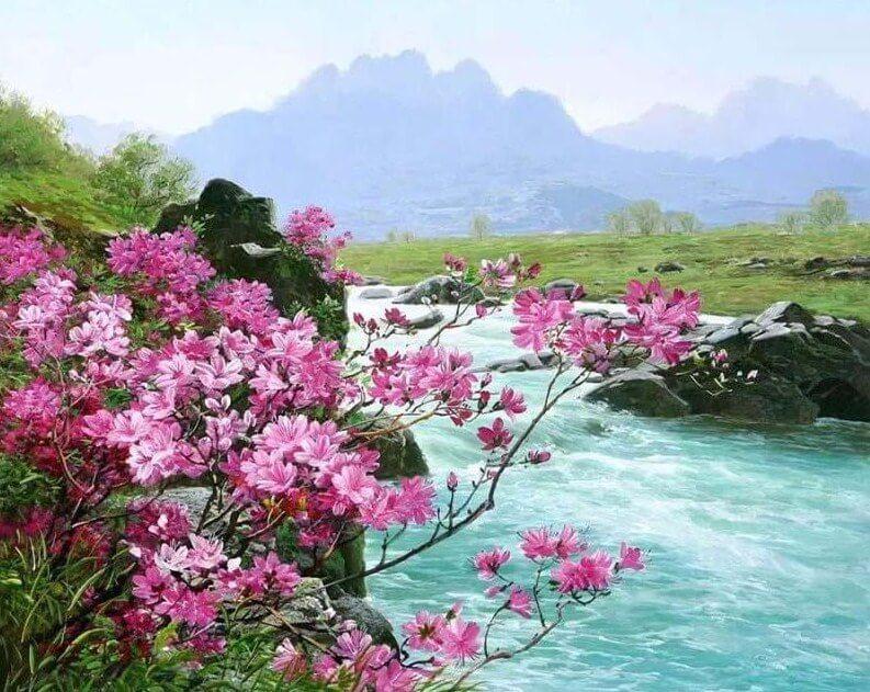 Pink Flowers by the River