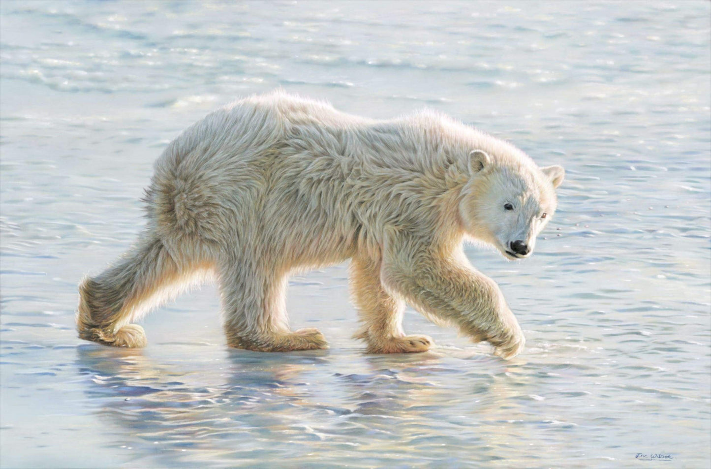 Polar Bear Cub - Art by Eric Wilson