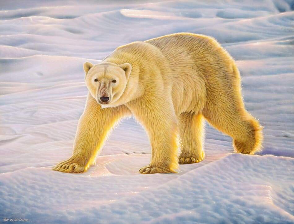 Polar Bear at Sundown - Art by Eric Wilson