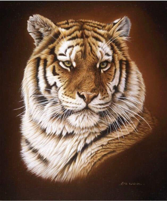 Tiger Paint by Numbers, DIY Colorful Canvas Acrylic Painting Supplies, Adults  Paint by Numbers Painting Kit, Tiger Head Artwork DIY Project 