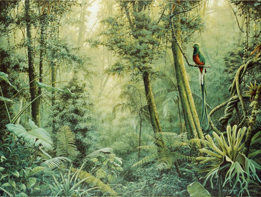 Quetzal - Art by Eric Wilson