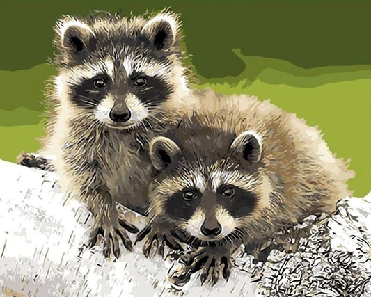 Raccoons Pair DIY Painting Kit