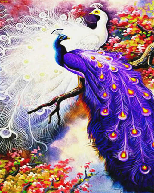 Rare Peacocks- Paint By Number
