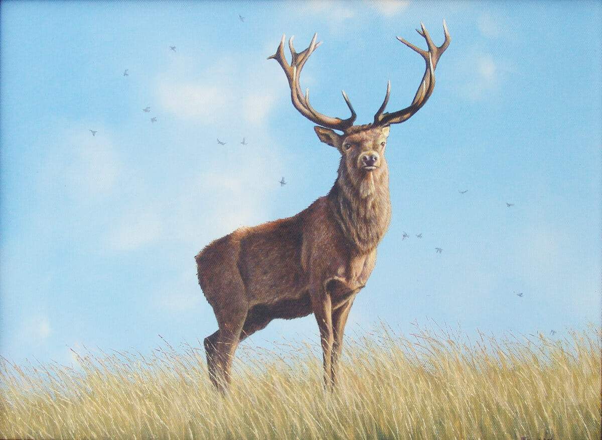 Red Deer - Art by Eric Wilson