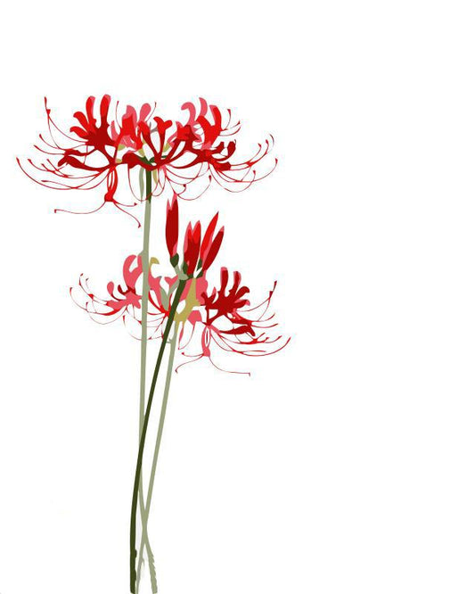 Fantastic Scenery Of Red Lilly