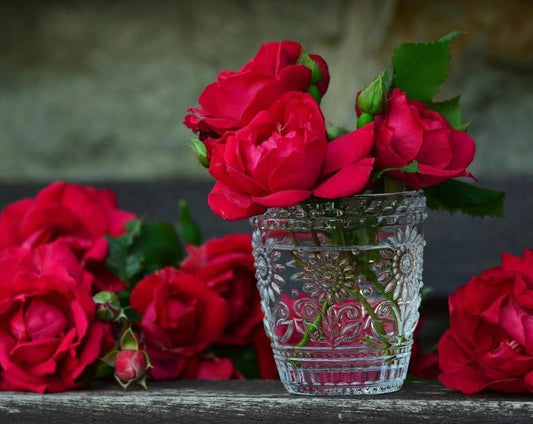 Red Roses in Glass