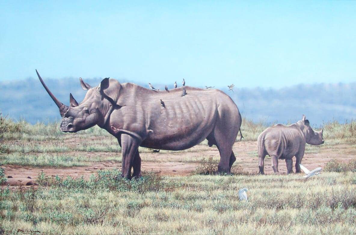 Rhino - Art by Eric Wilson