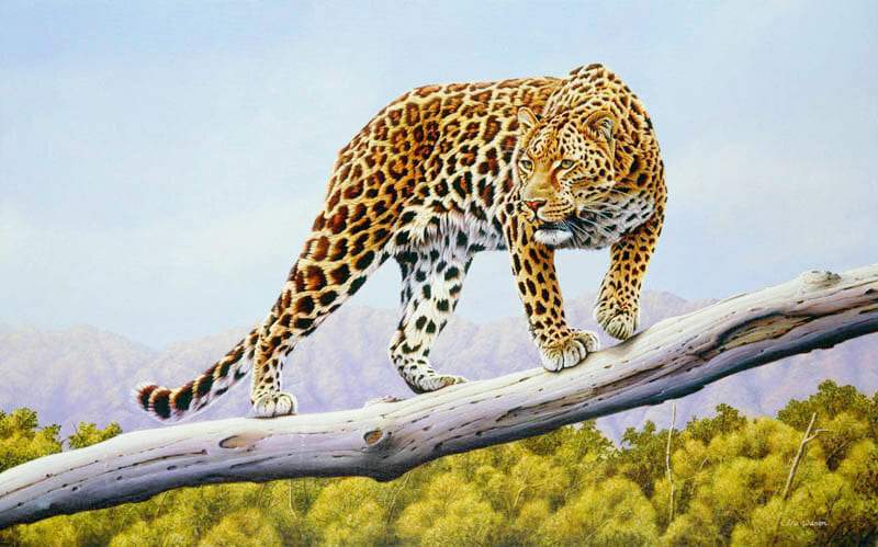 Ruckomechi Leopard - Art by Eric Wilson