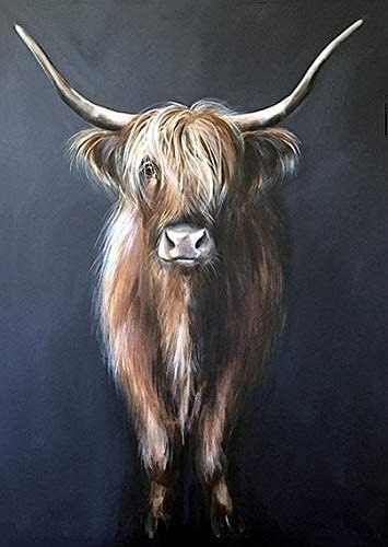 Scottish Highland Cattle - Paint  By Numbers