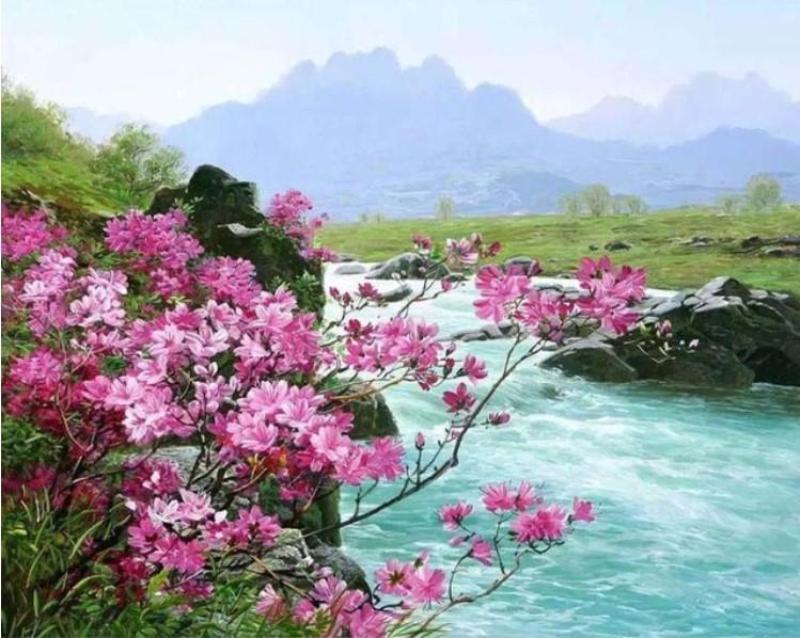 Beautiful Colors, River and Flowers Painting - DIY with Painting Kit - All Paint by numbers