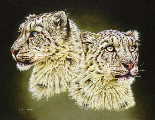 Snow Leopards - Art by Eric Wilson