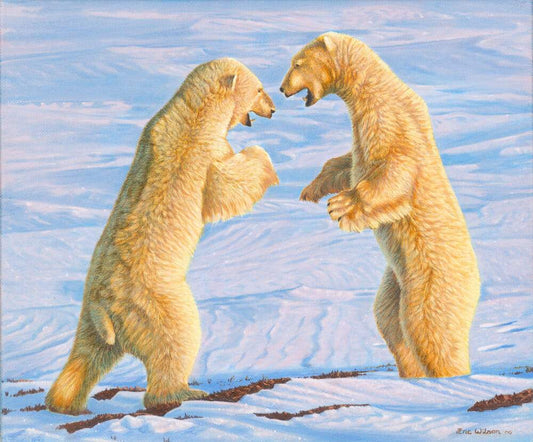 Sparring Polar Bears - Art by Eric Wilson