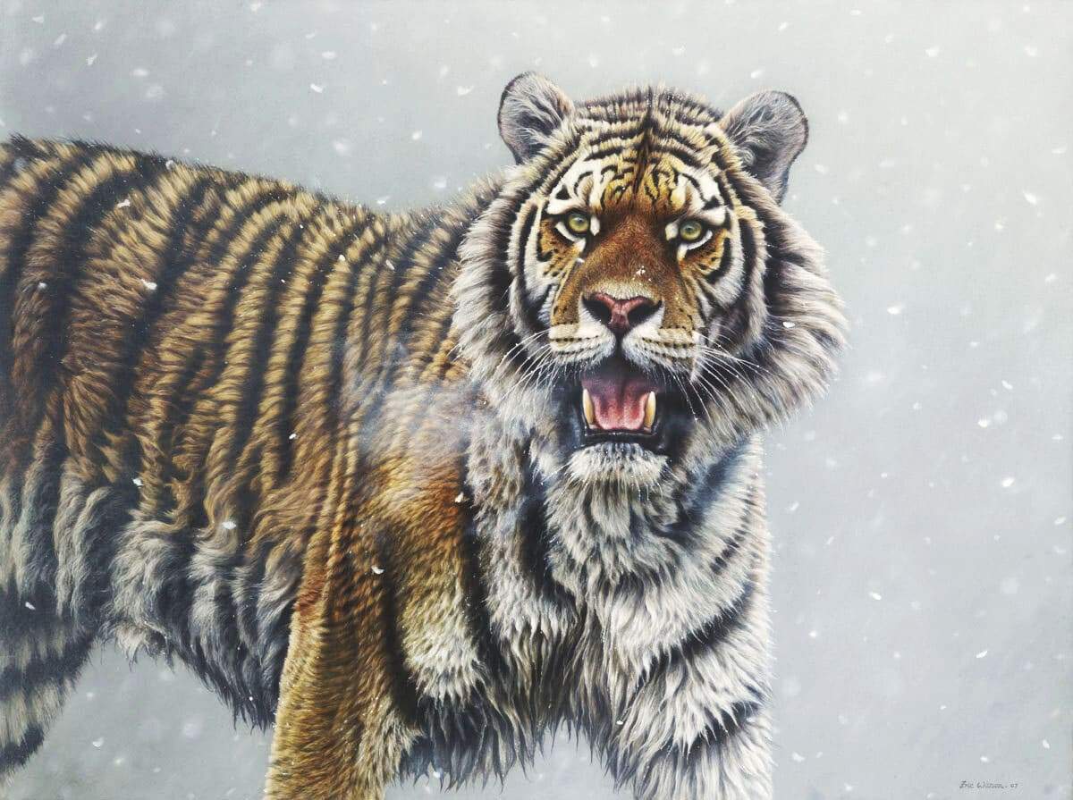 Spirit Tiger - Art by Eric Wilson