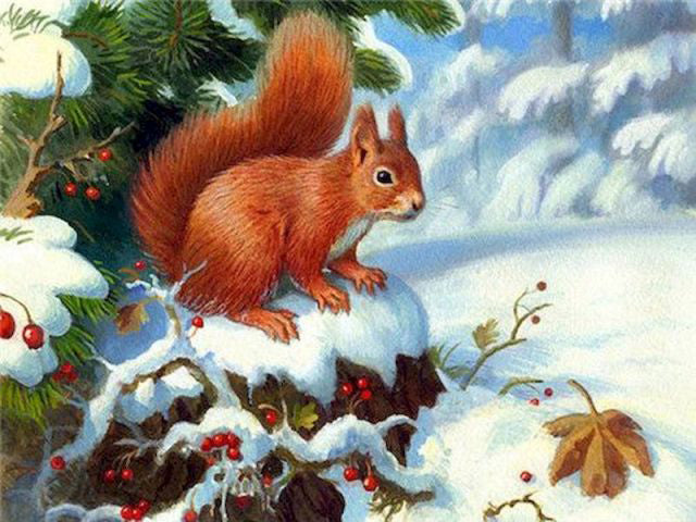 Squirrel In WInter Season- DIY Paint  By Number