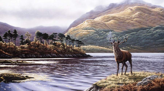 Stag at Loch Sunart - Art by Eric Wilson