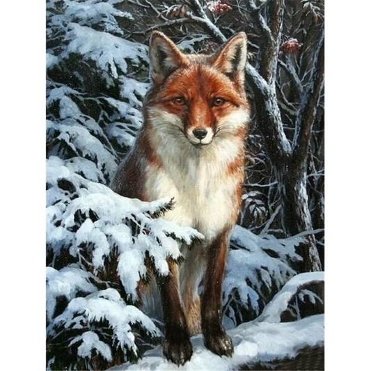 Fox in the Snow - Animals Paint By Number - Paint by numbers for adult