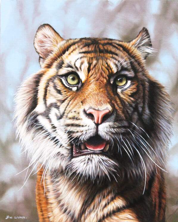 Sumatran Tiger II - Art by Eric Wilson