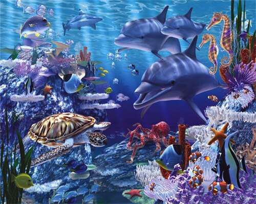 Dolphins Underwater With Tropical Fishes - Paint By Number - Painting By  Numbers