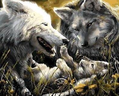 Wolves Family Painting Kit