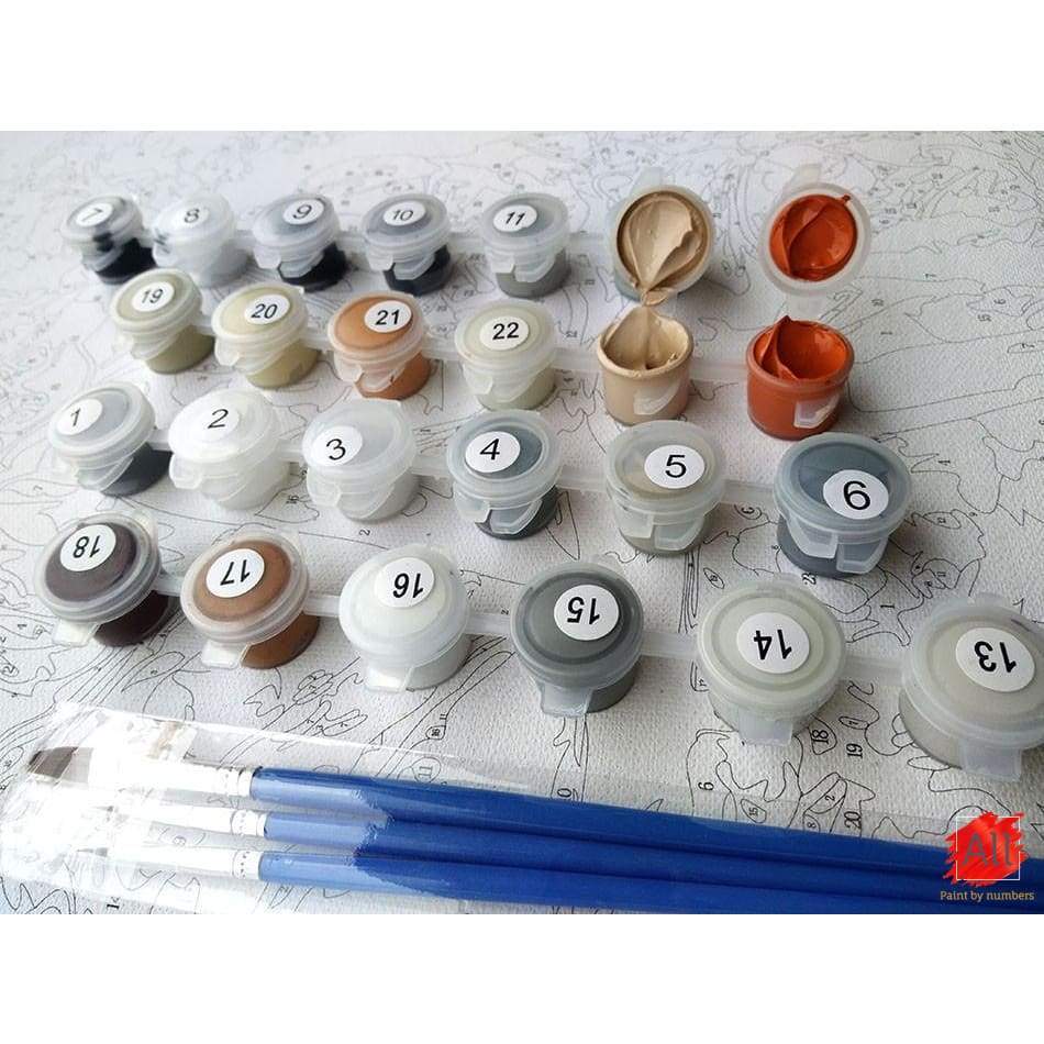 Paint By Numbers - Simple Paint By Numbers Kit