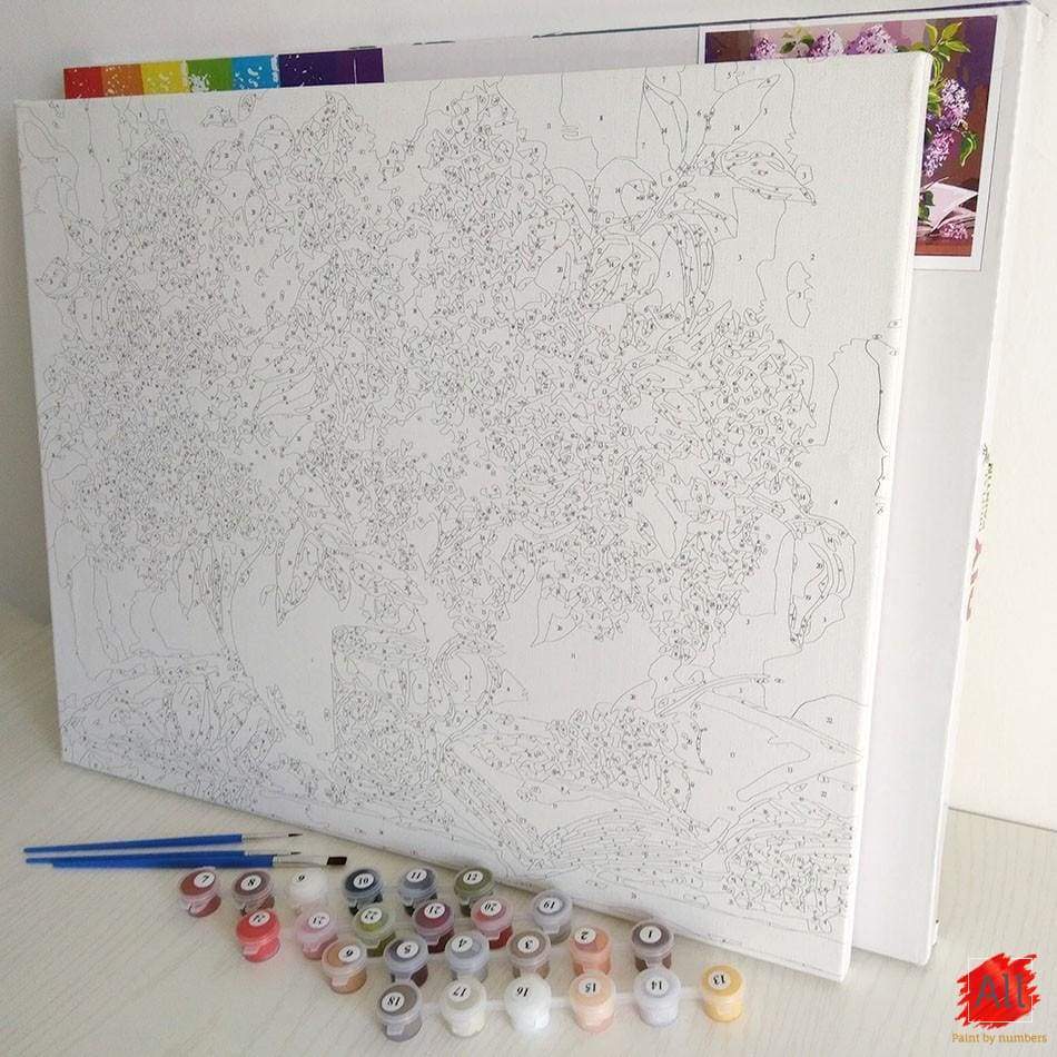 Paint By Numbers - Stare Of The Lion