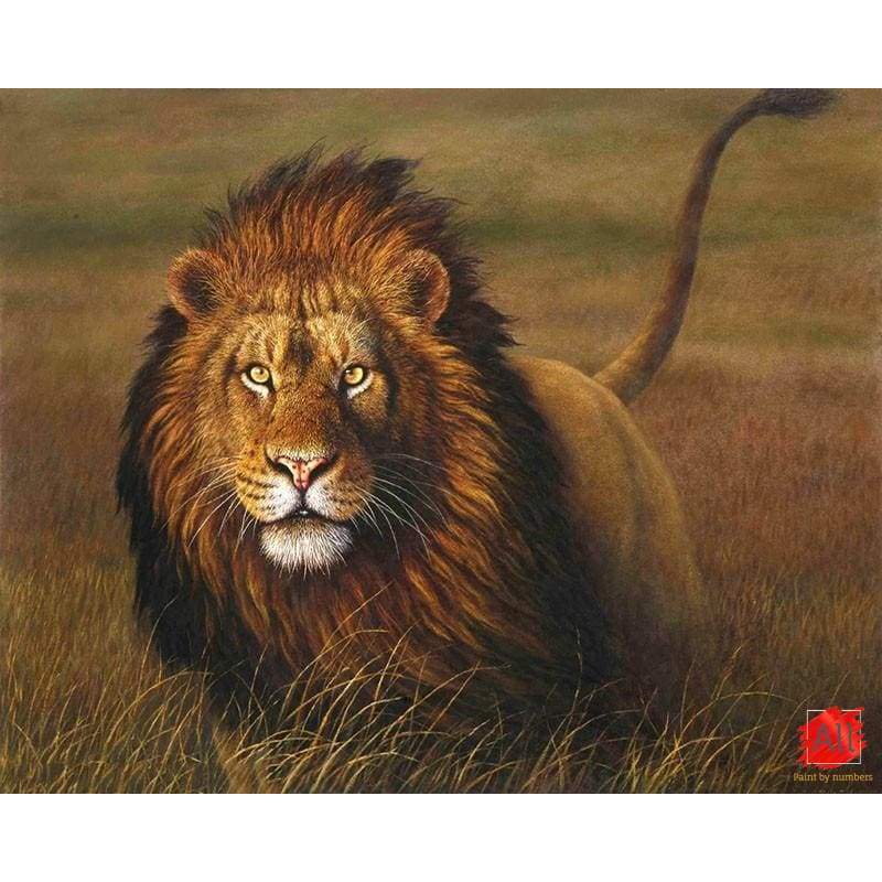 lion paint by numbers