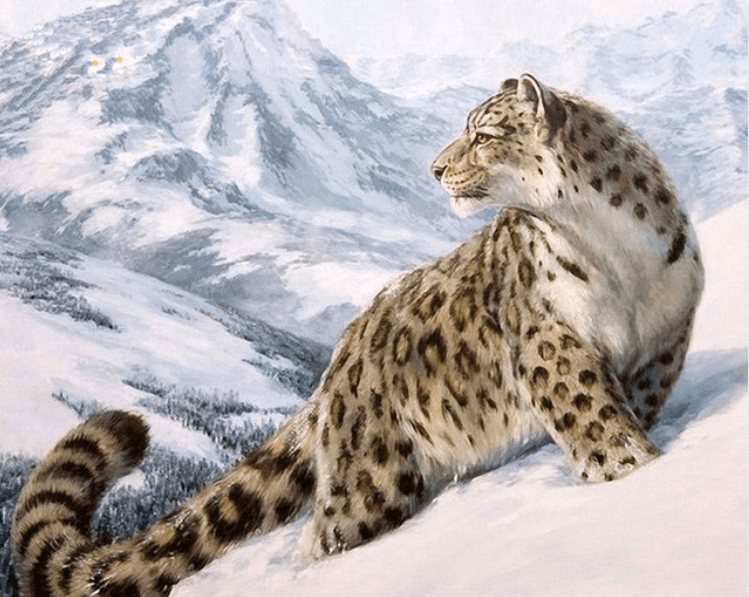 snow leopard paint by numbers