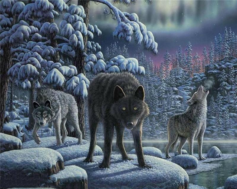 Wolves in the Night Painting - All Paint by numbers