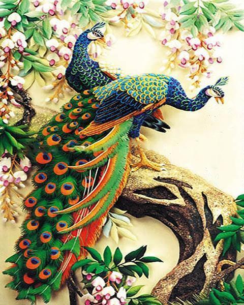 Peacock Paint by Numbers Oil Painting for Adults Kids Paint by