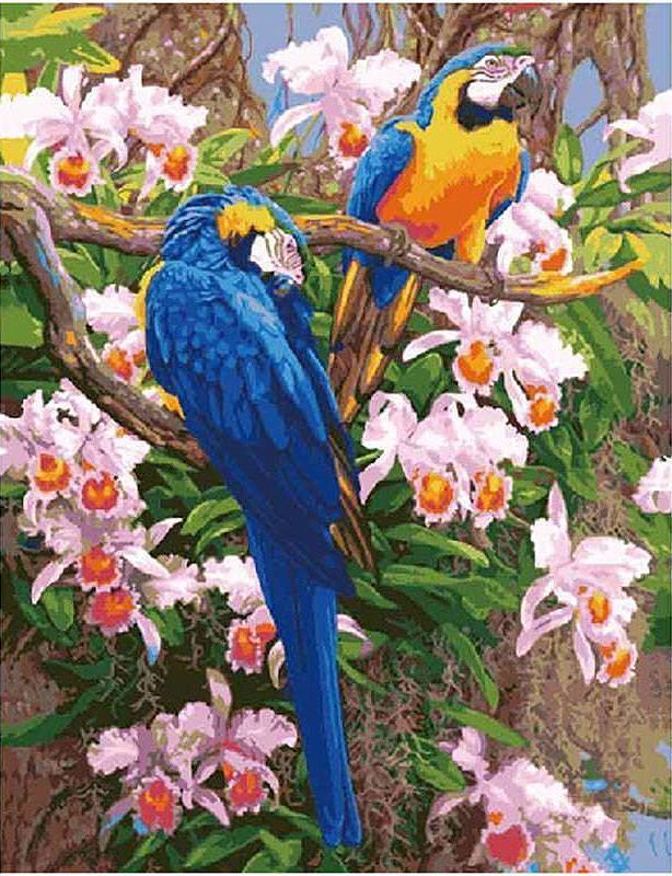 Beautiful Macaw Parrots - Paint by Numbers - All Paint by numbers