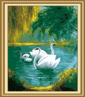 24 Stunning Animal unframed and Framed - All Paint by numbers