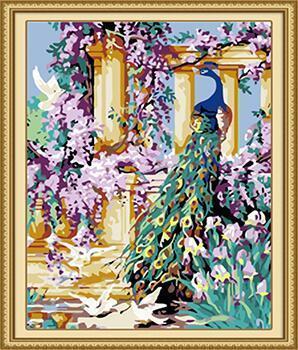 24 Stunning Animal unframed and Framed - All Paint by numbers